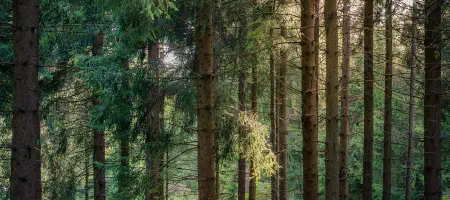 daniel-sessler-78kaMQmUUq4-unsplash-02.webp