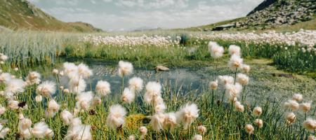 sies-kranen-YfgGuPLENVE-unsplash.jpg